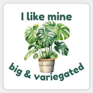 I Like Mine Big And Variegated Monstera Sticker